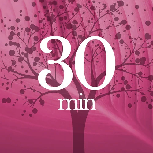 30 min consult