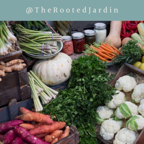 Learn How to Cook Healthy Recipes to Fit Your Busy Lifestyle
