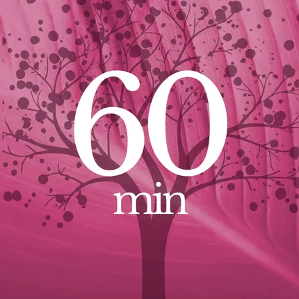 60 min consult
