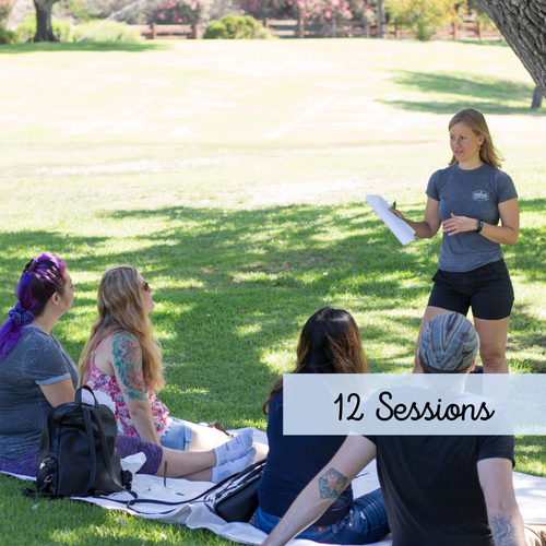 Health Coaching- 12 Session Package
