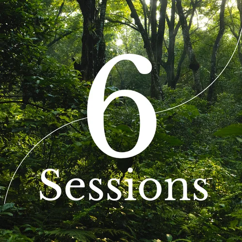 Package 3: 6 Sessions