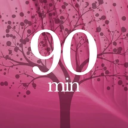 90 min consult