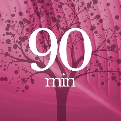 90 min consult