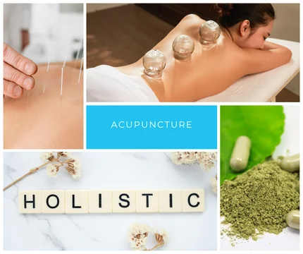 Free Discovery Consultation