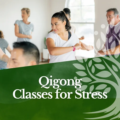 Beginner Qigong Classes for Stress Relief and Energy