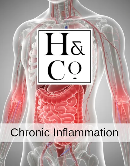 Chronic Inflammation - Online