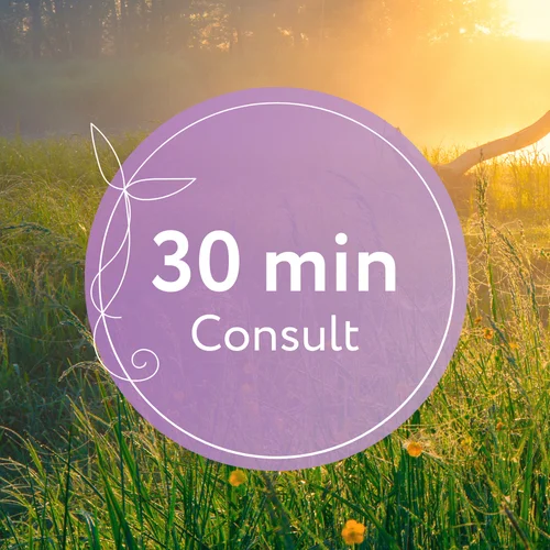 30 Min Consult