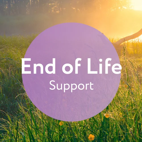 Compassionate and Supportive End of Life Care 