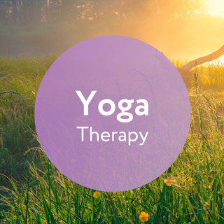 Coaching | Empowering Movement: Yoga Therapy for the Inactive Body ...