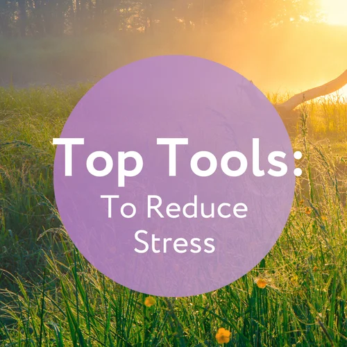 Navigating Anxiety: Tools for Emotional Regulation and Stress Reduction