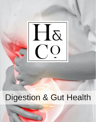 Digestive & Gut Health - Online