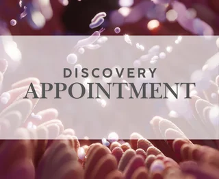 Discovery call