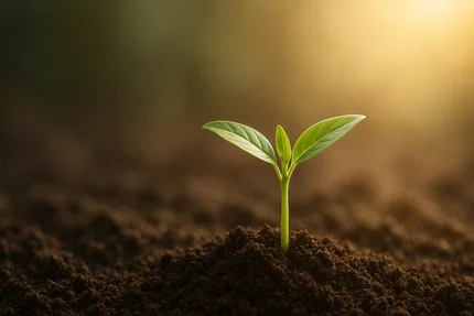 Free 15-Minute Health Coaching Discovery Call
