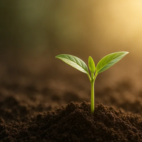 Free 15-Minute Health Coaching Discovery Call