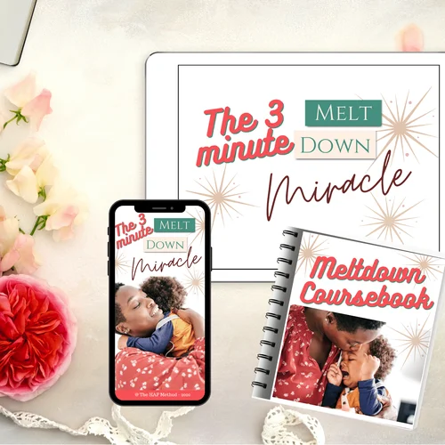 The 3 Minute Meltdown Miracle + Meltdown Coursebook