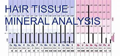 HTMA~~~~ HAIR TISSUE MINERAL ANALYSIS