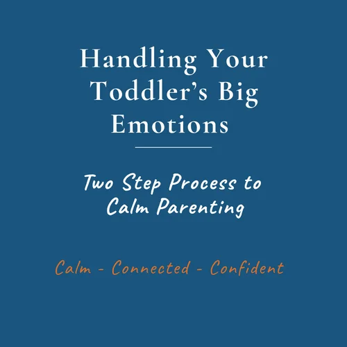 Handling Your Toddler's Big Emotions