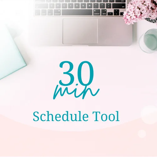 Package Schedule Tool - 30 min