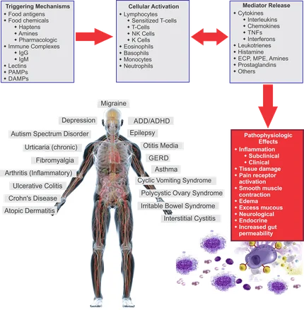 Inflammatory Food Testing