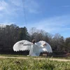 Crazy Swan 
