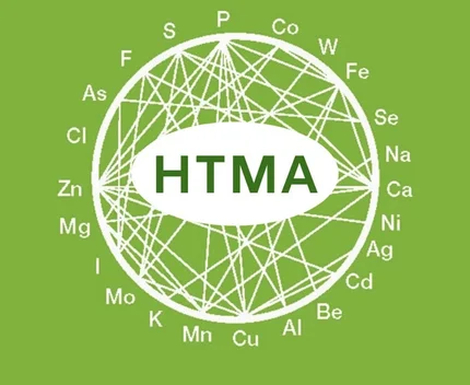 HTMA Testing + Interpretation