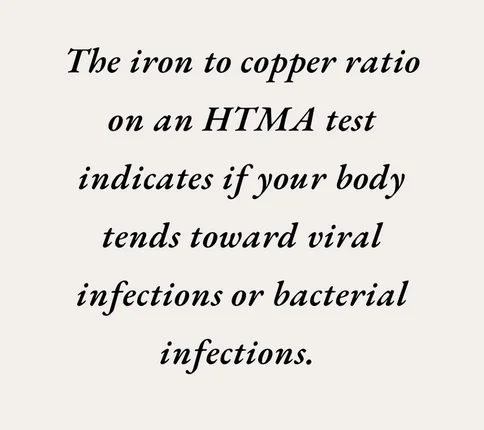 HTMA Testing + Interpretation