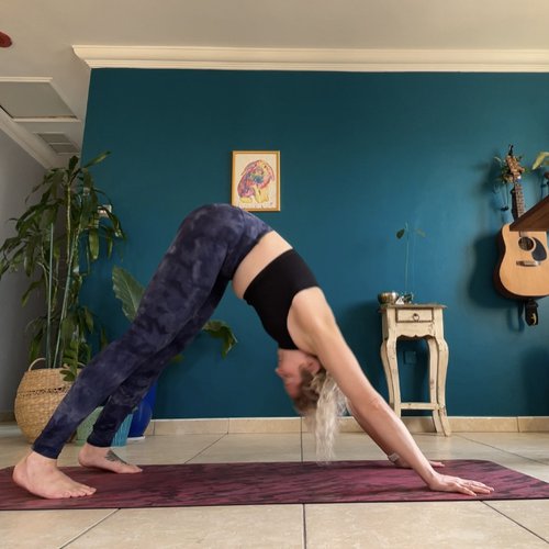 12-Week Holistic Wellness Program
