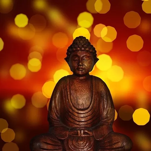Personalized  Wellness Plan and Healthy Lifestyle Guidance