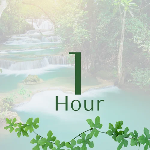 Package Schedule Tool - 1 Hour
