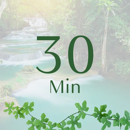 Package Schedule Tool - 30 min