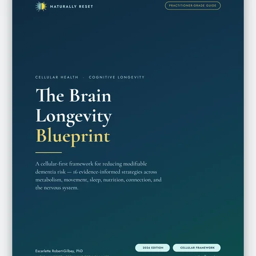 The Brain Longevity Blueprint