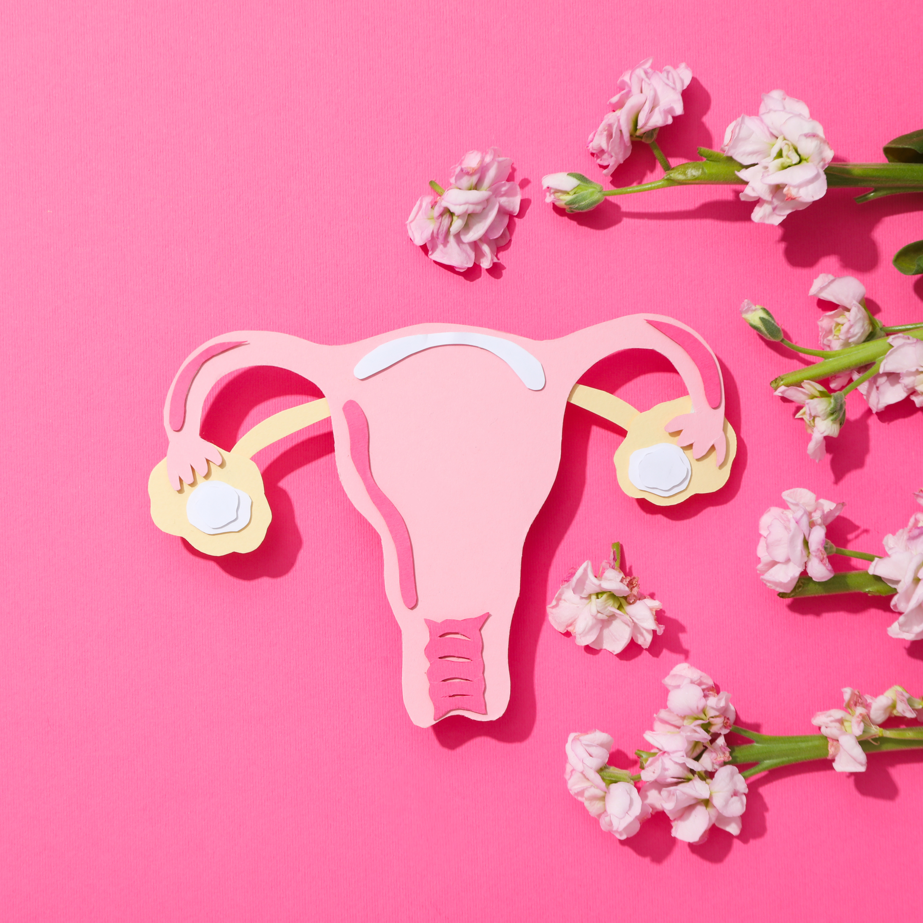 Womens Health