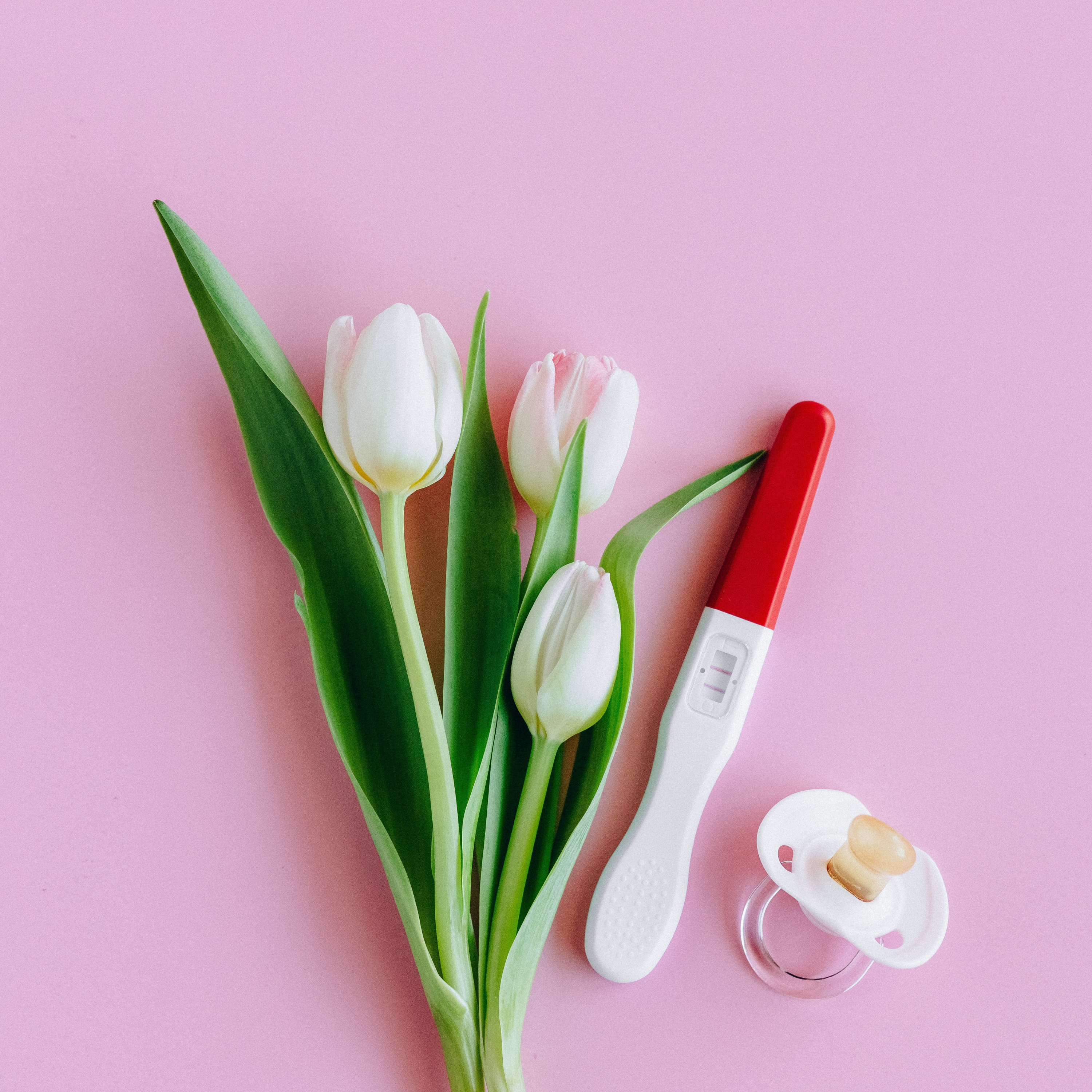 Pregnancy & Fertility