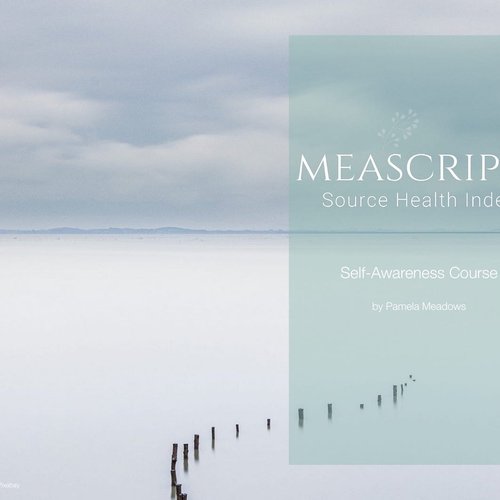 Meascripts Self-Awareness Guide