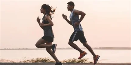 Seven Month Package: Nutrition, Physical Activity, Sleep, Stress Management