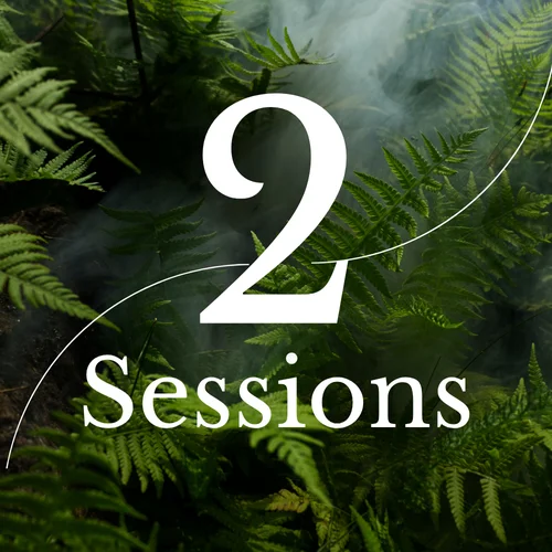 Package 1: 2 Sessions