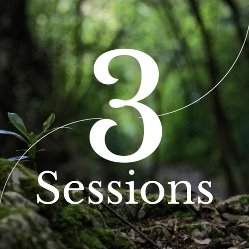 Package 2: 3 Sessions