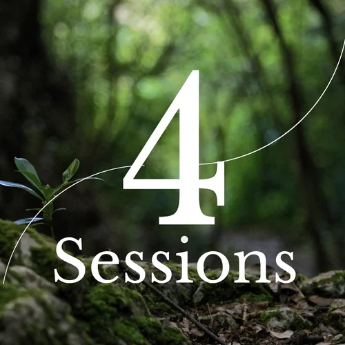 Package 2: 4 Sessions