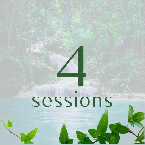 Package 2: 4 sessions