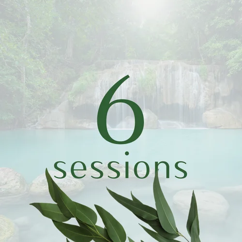 Package 3: 6 sessions