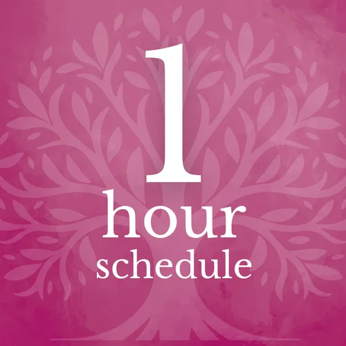 Package Schedule Tool - 1 Hour