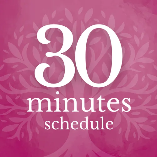 Package Schedule Tool - 30 min