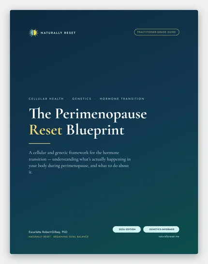 The Perimenopause Reset Blueprint