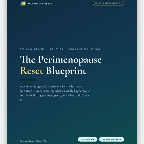 The Perimenopause Reset Blueprint