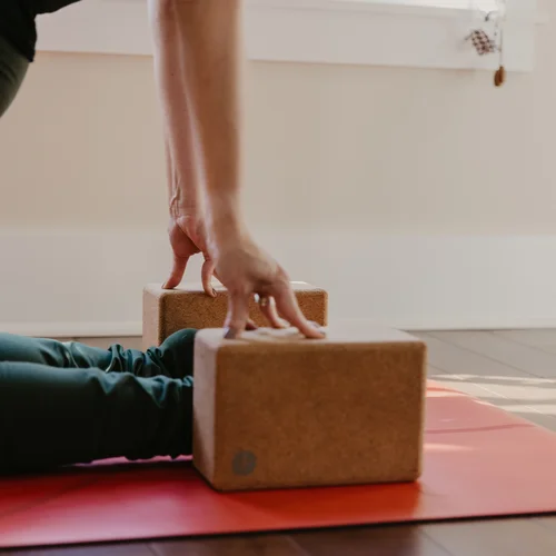 Beginner Foundations