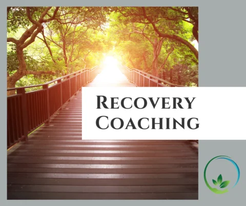 Recovery Coaching Session