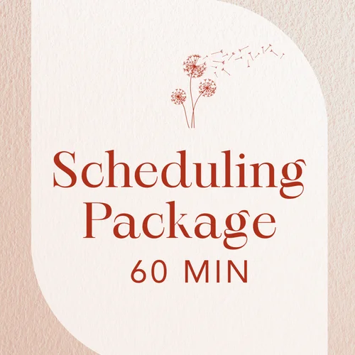 Scheduling package - 60 mins