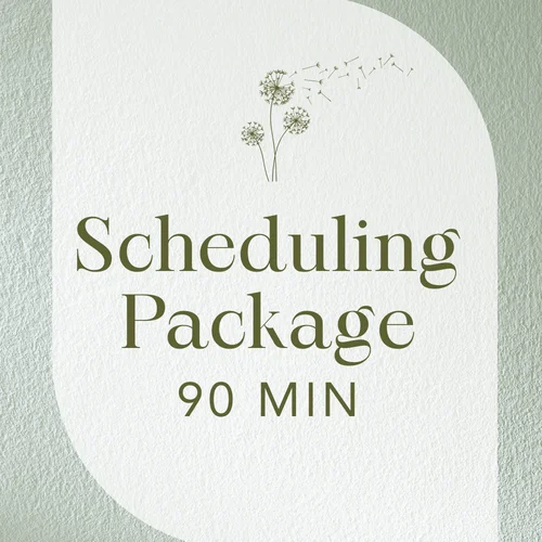 Scheduling package - 90 mins
