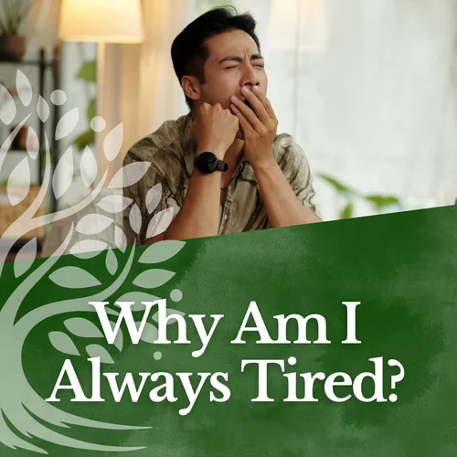 Why Am I Always Tired? Natural Support for Fatigue and Low Energy