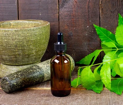 Ayurvedic Aromatherapy for Balancing Vata, Pitta, and Kapha with Custom Blends